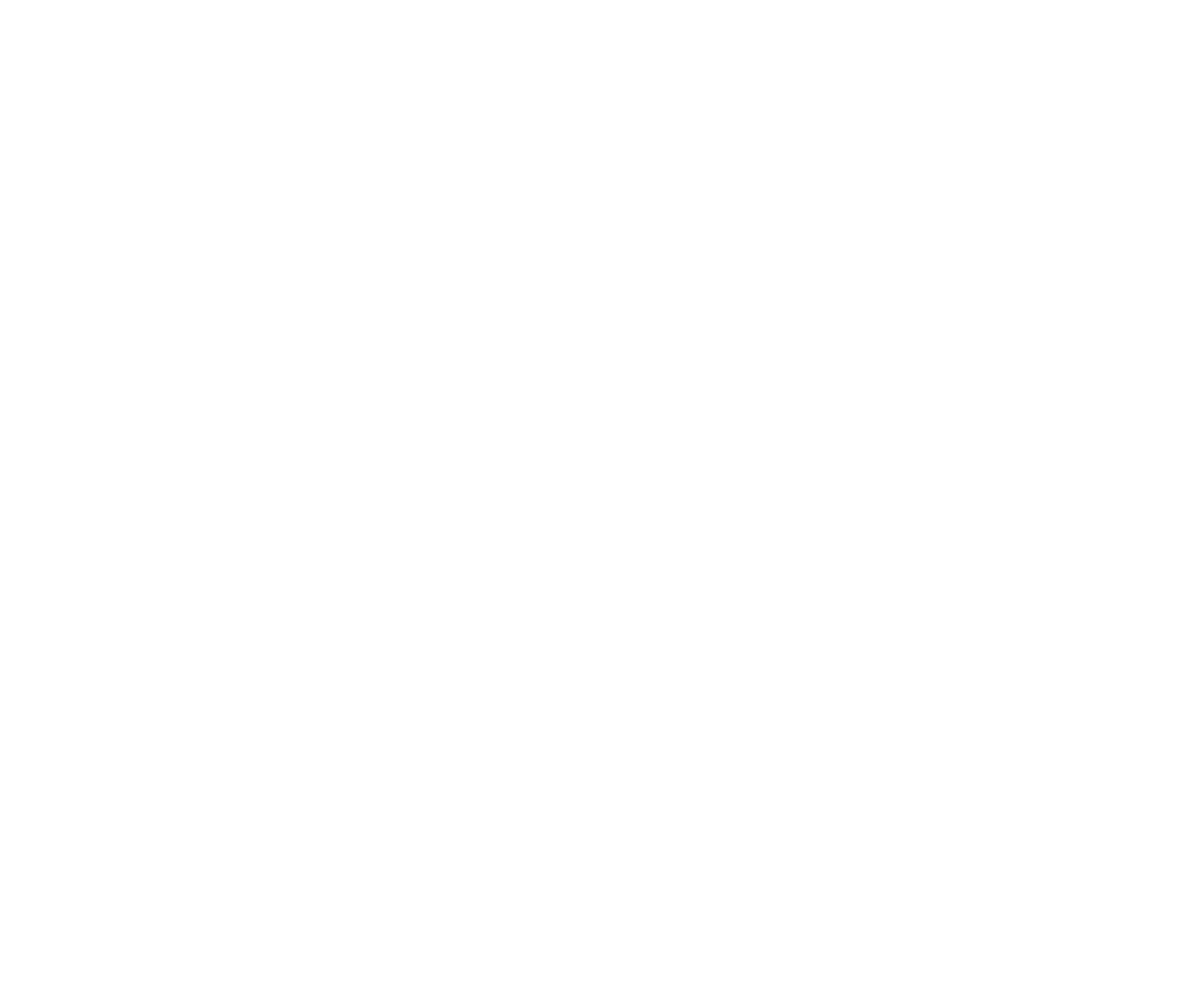 SA AGENTS